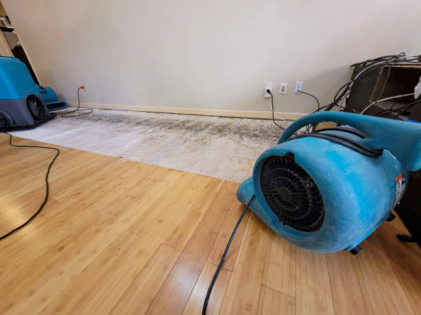 Professional Water Damage Repair technician working in Great Meadows, NJ